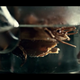 Image for article titled Hannibal’s powerful visuals make it one of the best shows of 2013